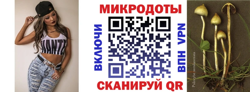 Псилоцибиновые грибы Cubensis Туринск
